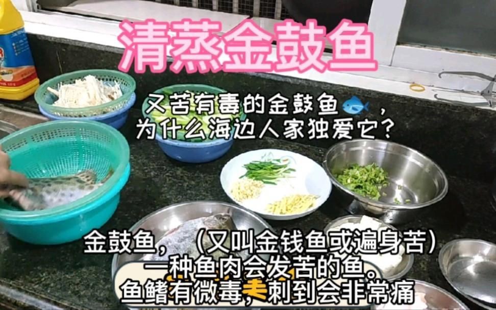 金鼓魚要怎么煮沒毒的【據(jù)說被這個魚扎一次痛三天，江師傅教你酸梅煮金鼓魚】