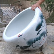 景德鎮水族店【景德鎮市林蔭水族館】