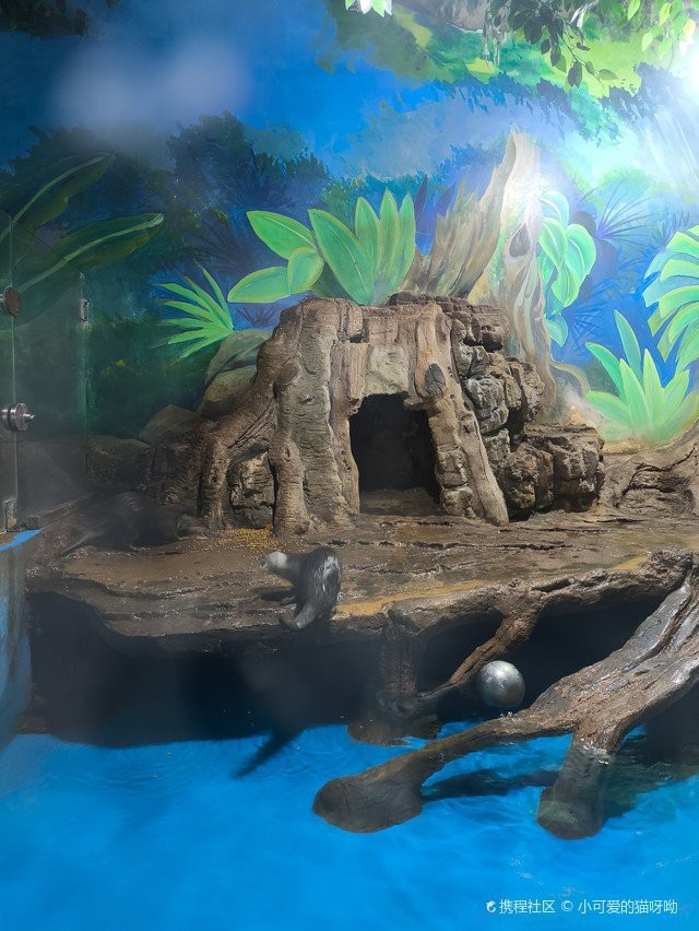 芒市水族店【芒市有哪些水族館】