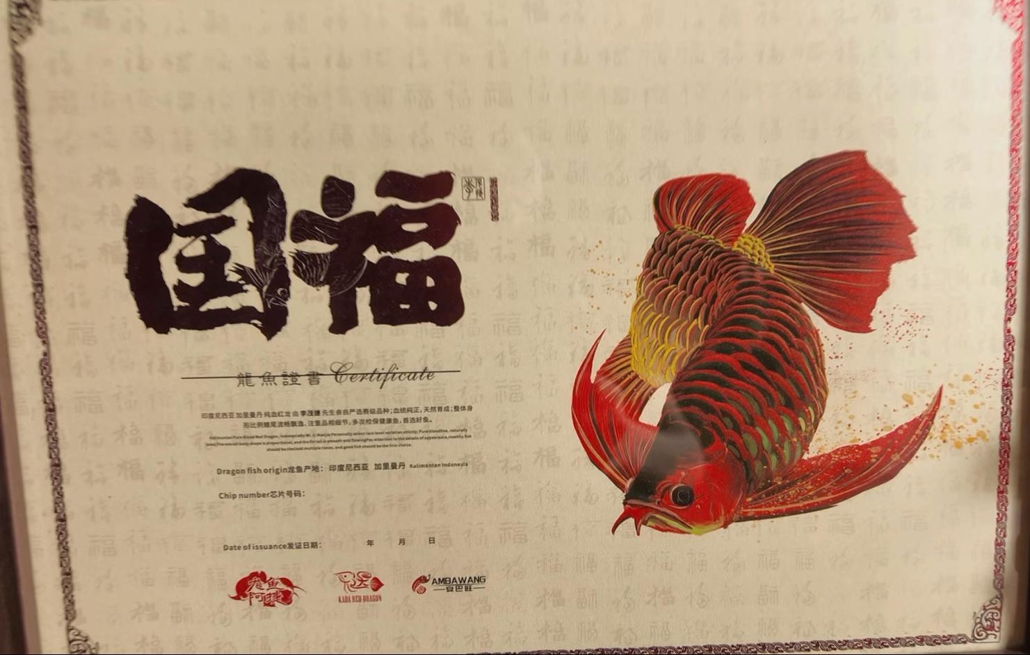 如何挑選高品質的福龍魚？