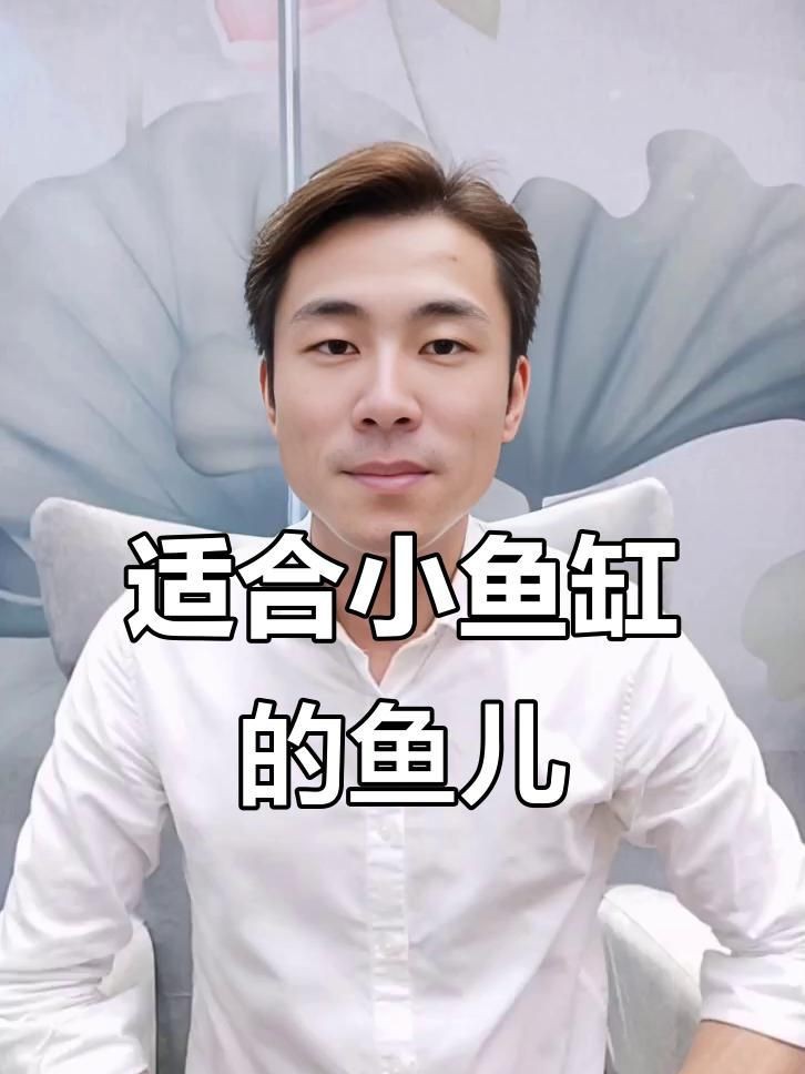 家庭小魚缸適合養什么魚【小魚缸里能養什么】
