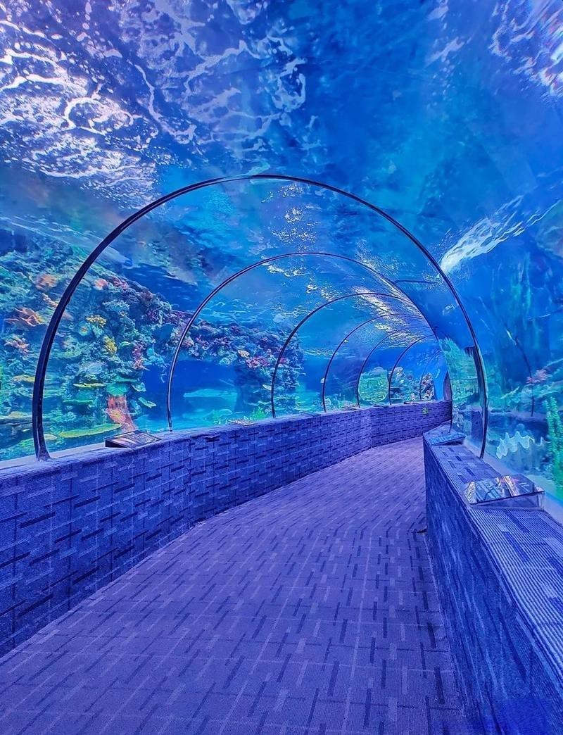 海北水族店【北海兩水族館，誰更值愛生活的瀟瀟樂】 海北水族店【北海兩水族館，誰更值愛生活的瀟瀟樂】 全國水族館企業名錄 第3張