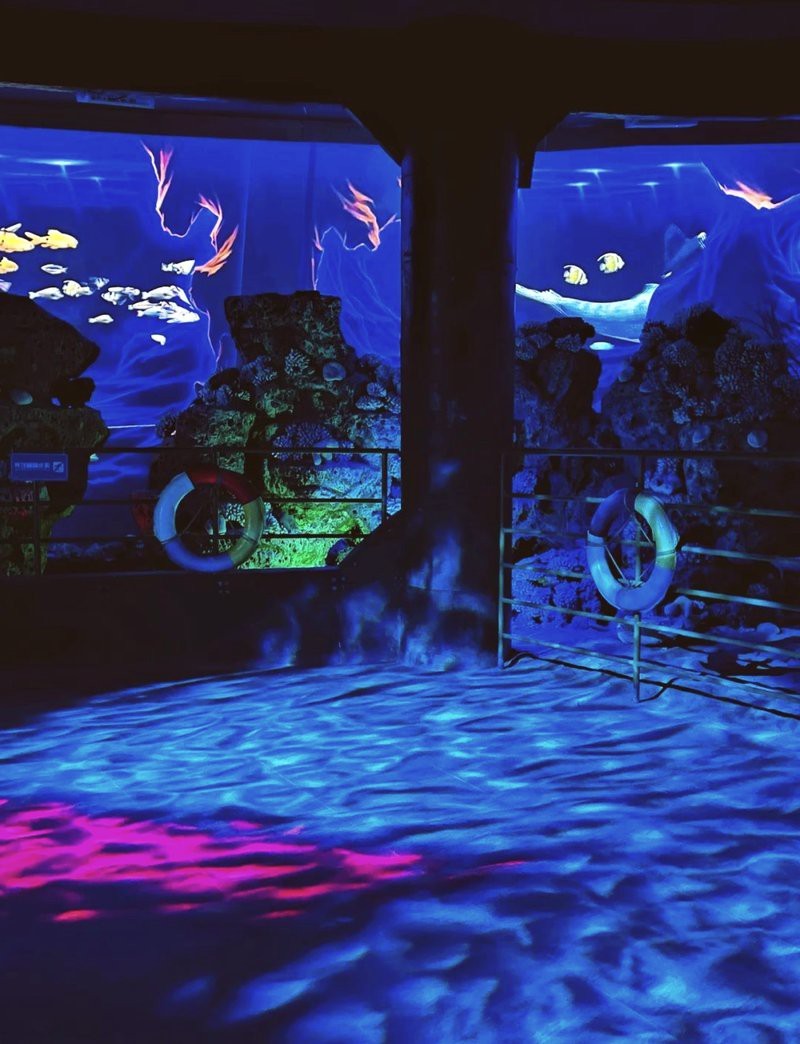 海北水族店【北海兩水族館，誰更值愛生活的瀟瀟樂】 海北水族店【北海兩水族館，誰更值愛生活的瀟瀟樂】 全國水族館企業名錄 第4張