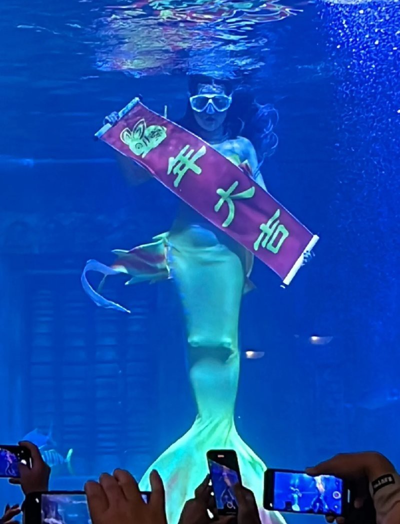 海北水族店【北海兩水族館,誰更值愛生活的瀟瀟樂】 全國水族館企業名錄 第2張 海北水族店【北海兩水族館,誰更值愛生活的瀟瀟樂】 海北水族店【北海兩水族館,誰更值愛生活的瀟瀟樂】 全國水族館企業名錄 第2張