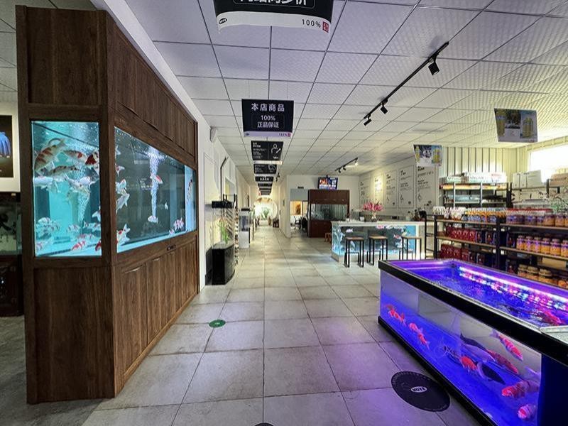 湖北水族店【湖北水族店哪家口碑最好】