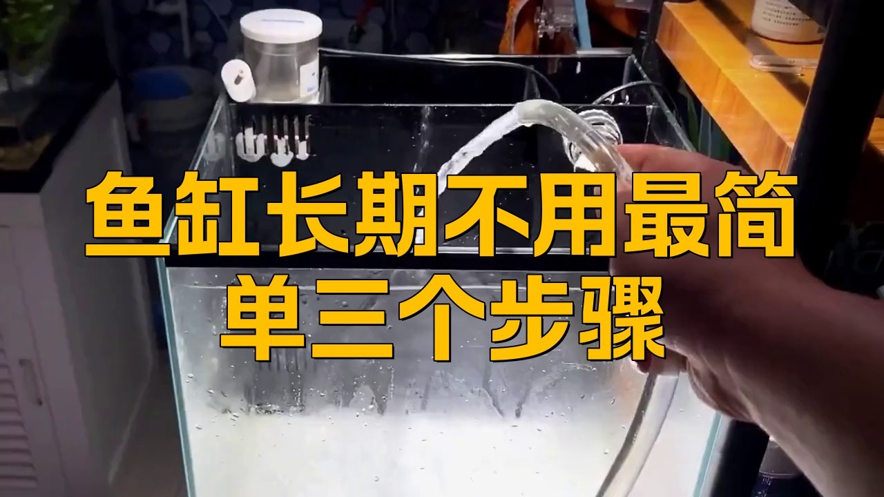 龍魚缸閑置后如何處理【廢舊魚缸不用了怎么處理有什么講究】