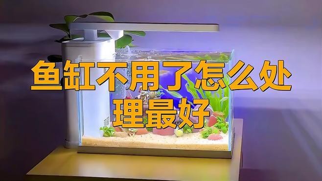 龍魚缸閑置后如何處理【廢舊魚缸不用了怎么處理有什么講究】