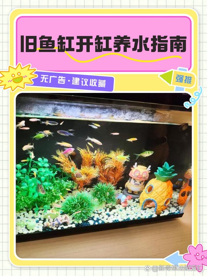 龍魚缸閑置后如何處理【廢舊魚缸不用了怎么處理有什么講究】
