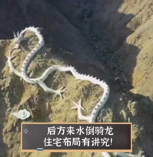 風水龍圖片【形勢派風水學中的“龍”指的是什么，它有什么作用】