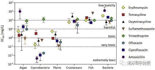 阿莫西林會把魚毒死嗎【阿莫西林對水生環境的影響】