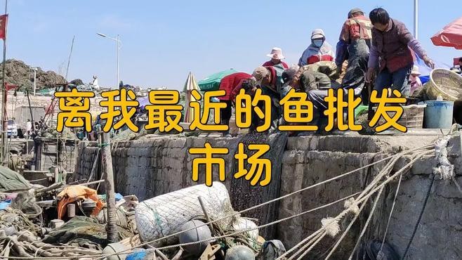 淡水魚批發哪里最便宜【2025年8月3日湖南活鯽魚批發價格表】