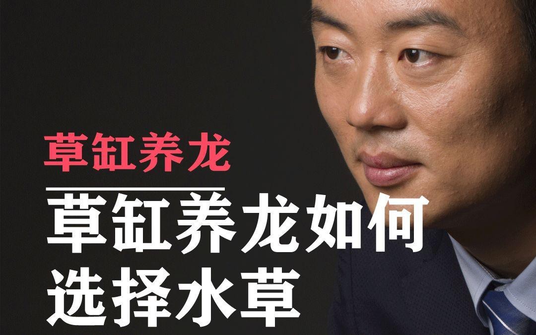 龍魚缸適合養(yǎng)水草嗎【龍魚缸養(yǎng)殖技術(shù)】