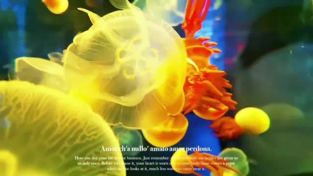 瀾滄水族店