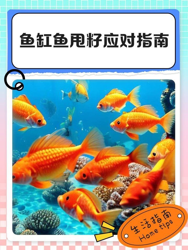 錦鯉甩籽后需要撈出嗎【錦鯉甩籽后是否需要撈出以及相關處理措施】