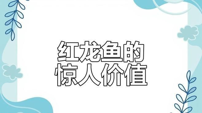 收藏級紅龍魚特點與價值【樂知研習社紅龍魚為何能拍出百萬高價揭秘其珍貴背后的原因】