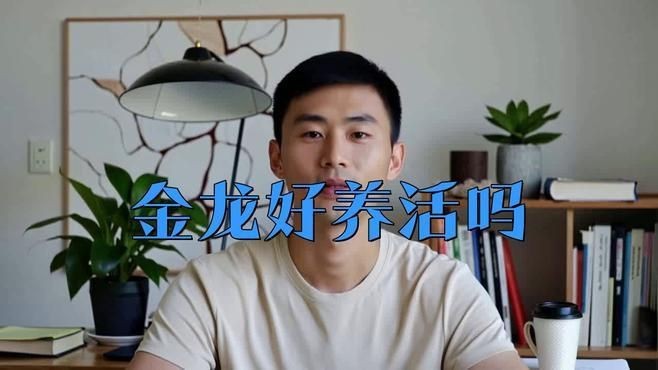 過背金龍魚飼養(yǎng)難度如何【過背金龍魚養(yǎng)殖技巧】