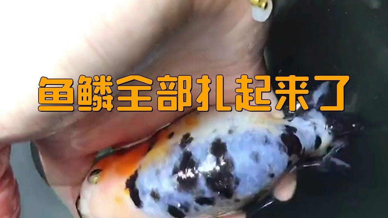 有哪些情況下不適合使用傲深藥水，傲深藥水使用風險