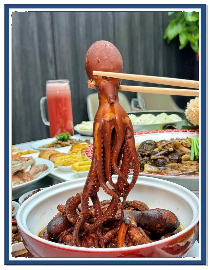 漢沽龍魚店【南信水族龍魚貿易\