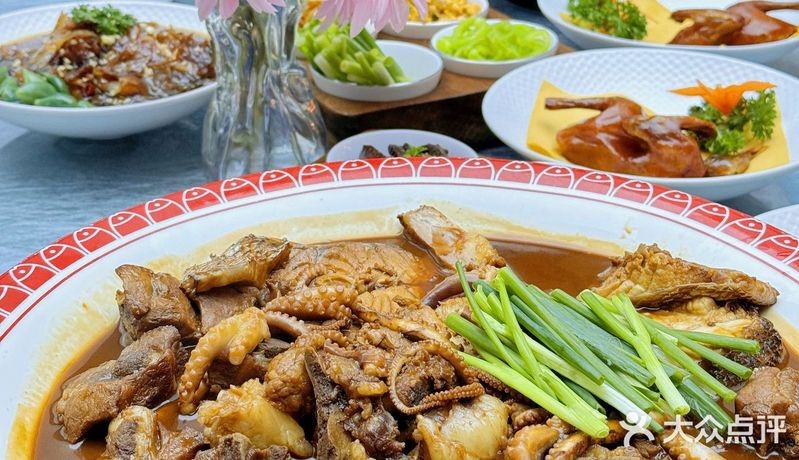 漢沽龍魚店【南信水族龍魚貿易\