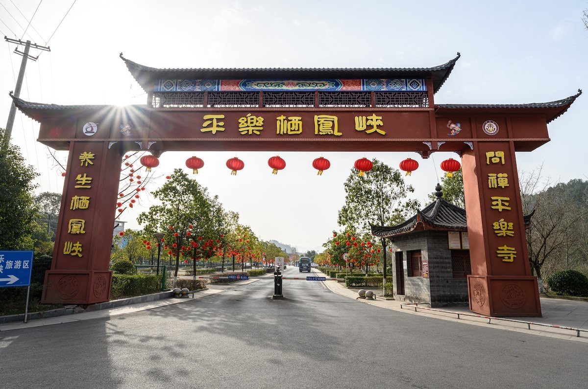 昭化水族店【寫我的夏天|在廣元昭化收獲一種舒適正南愛旅行】