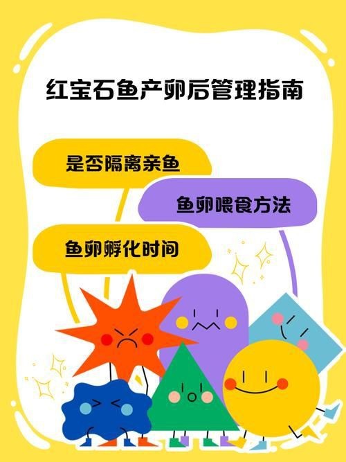 紅財(cái)神魚產(chǎn)卵的圖片2023年【養(yǎng)魚老道，紅寶石魚下卵必看】