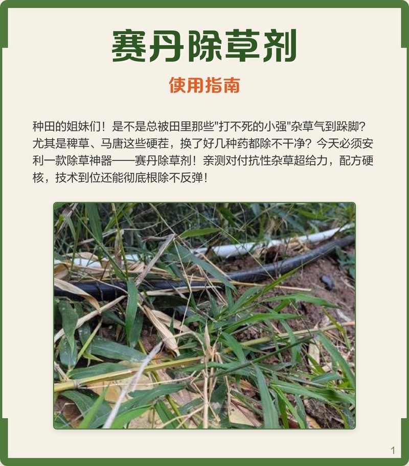 賽丹農(nóng)藥哪里可以買到【賽丹農(nóng)藥采購(gòu)指南與使用全解析】
