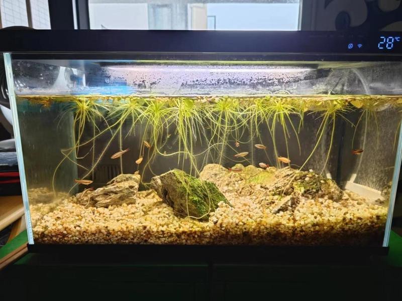 稷山水族店【稷山縣水族店經營情況】