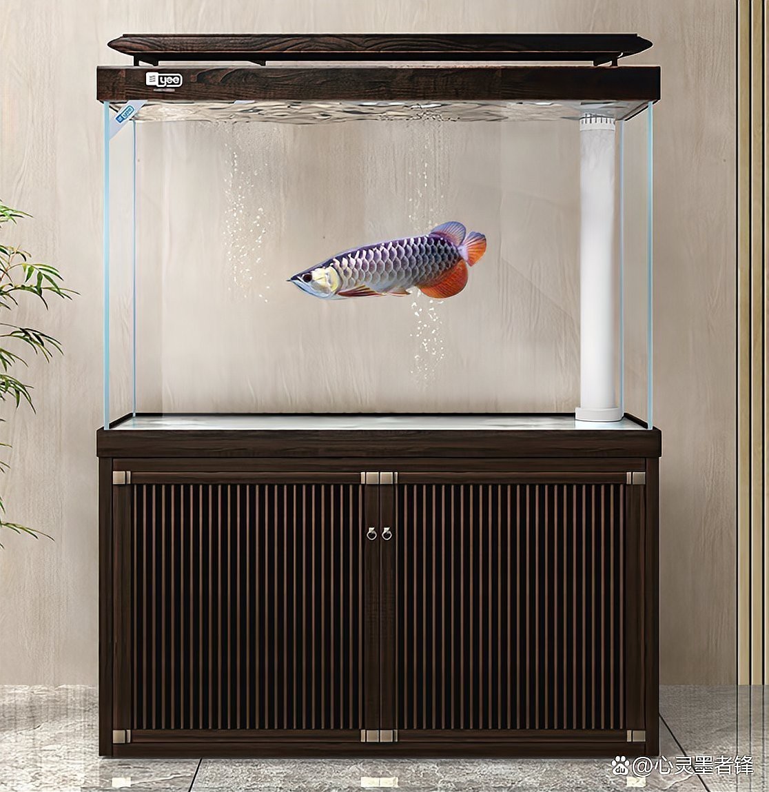 水族魚缸排名前十名【水族魚缸十大品牌】