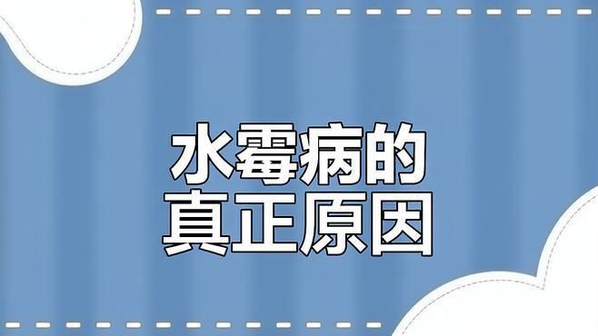 請(qǐng)?zhí)峁└嚓P(guān)于魚真菌和細(xì)菌的信息【哪種細(xì)菌會(huì)讓魚得哪種病,你都知道嗎】