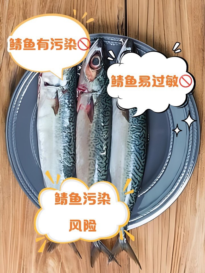 鯖魚為何盡量少吃【吃鯖魚有哪些健康風險】