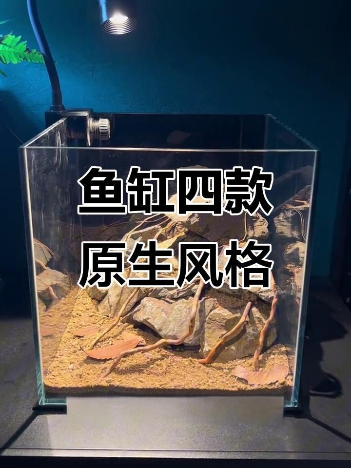 觀賞魚缸布置靈感【5種驚艷魚缸造景秘籍:新手也能打造會呼吸的水下仙境家居美學館】