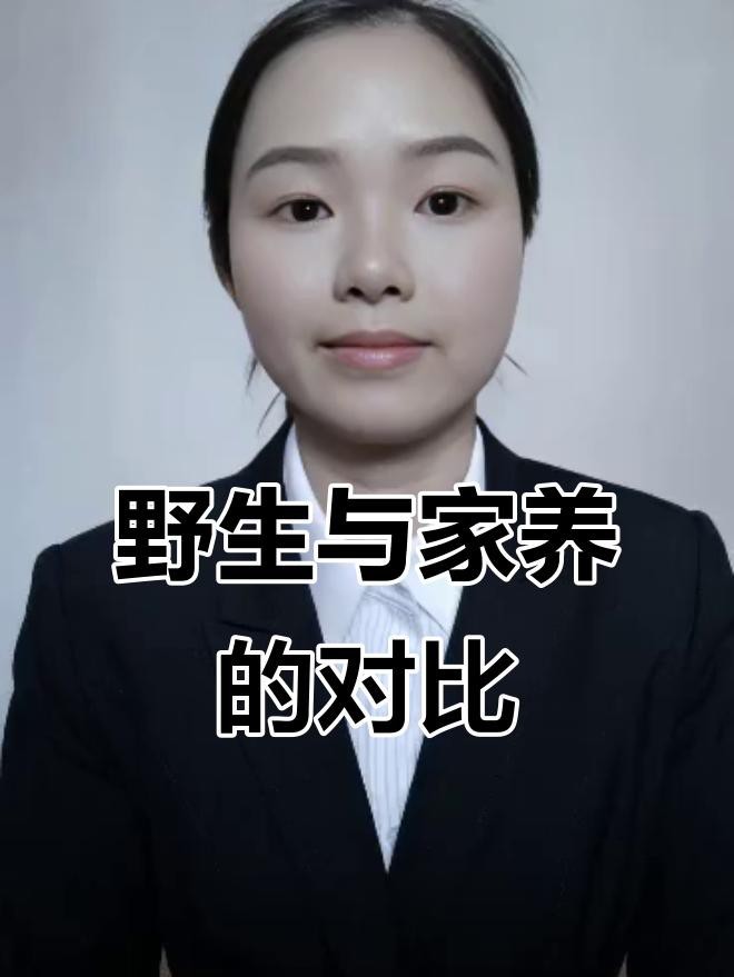 如何區分野生和養殖的雷龍魚？【野生與人工的區別】
