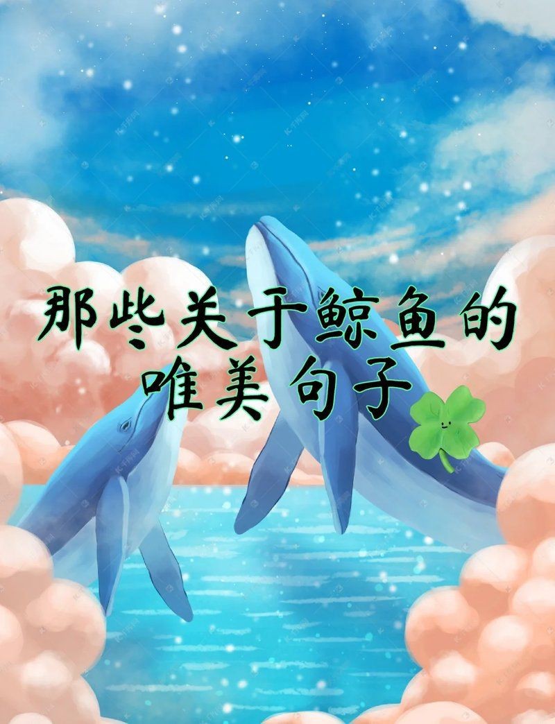 鯨魚卡通圖片【鯨魚卡通圖片大全可愛簡筆畫彩色版熊貓辦公可愛頭像大全】