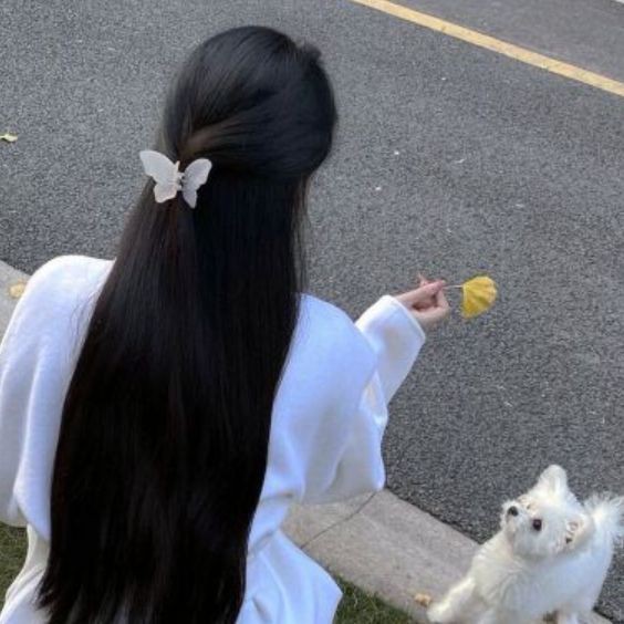 鯨魚卡通圖片【鯨魚卡通圖片大全可愛簡筆畫彩色版熊貓辦公可愛頭像大全】