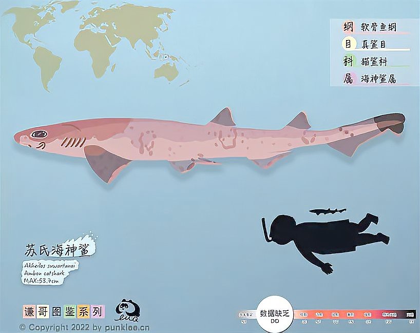 鯊魚的種類有多少種【鯊魚家族的多樣性】