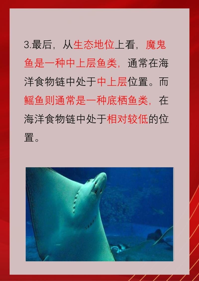 魟魚和鰩魚和蝠鲼的區(qū)別圖片【蝠鲼、鰩魚、鰩魚傻傻分不清楚】