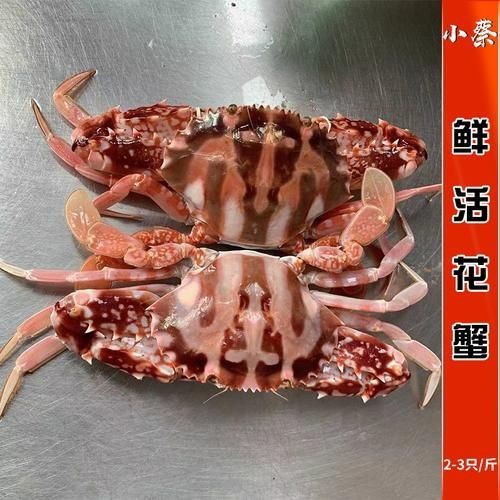 紅蟹魚圖片【紅蟹魚的家常做法】