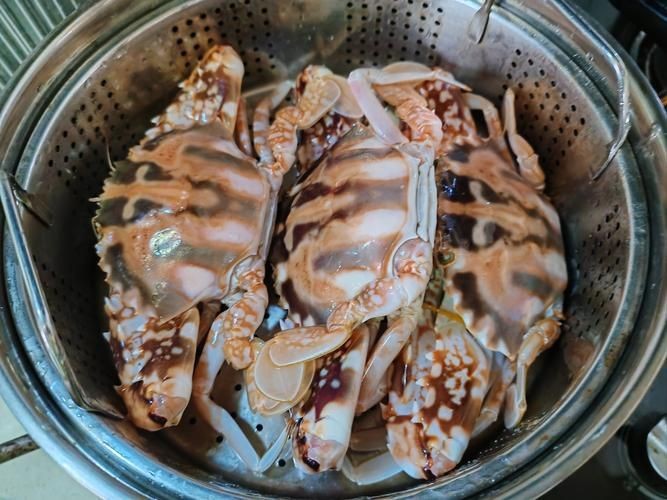 紅蟹魚圖片【紅蟹魚的家常做法】