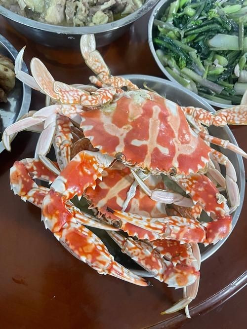 紅蟹魚圖片【紅蟹魚的家常做法】