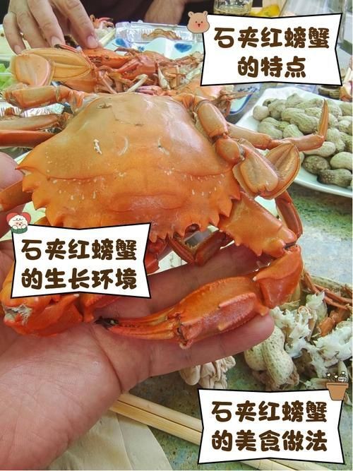 紅蟹魚圖片【紅蟹魚的家常做法】
