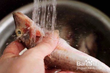 紅蟹魚圖片【紅蟹魚的家常做法】