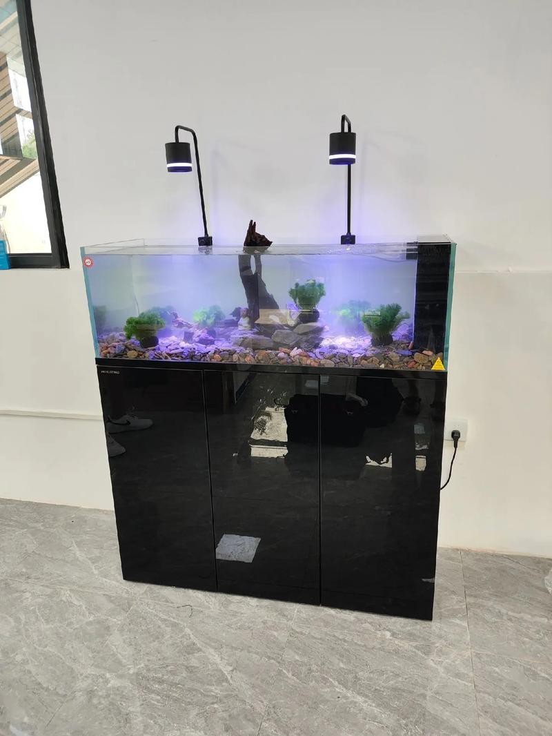 100種魚缸圖片【6種絕美魚缸造景全攻略】
