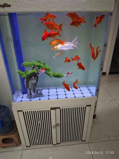 100種魚缸圖片【6種絕美魚缸造景全攻略】