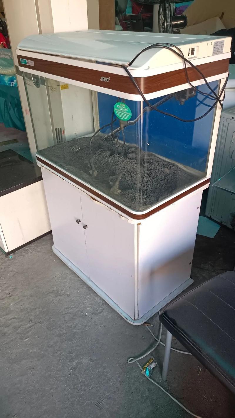 100種魚缸圖片【6種絕美魚缸造景全攻略】