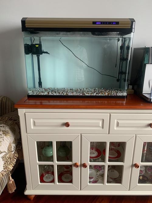 100種魚缸圖片【6種絕美魚缸造景全攻略】