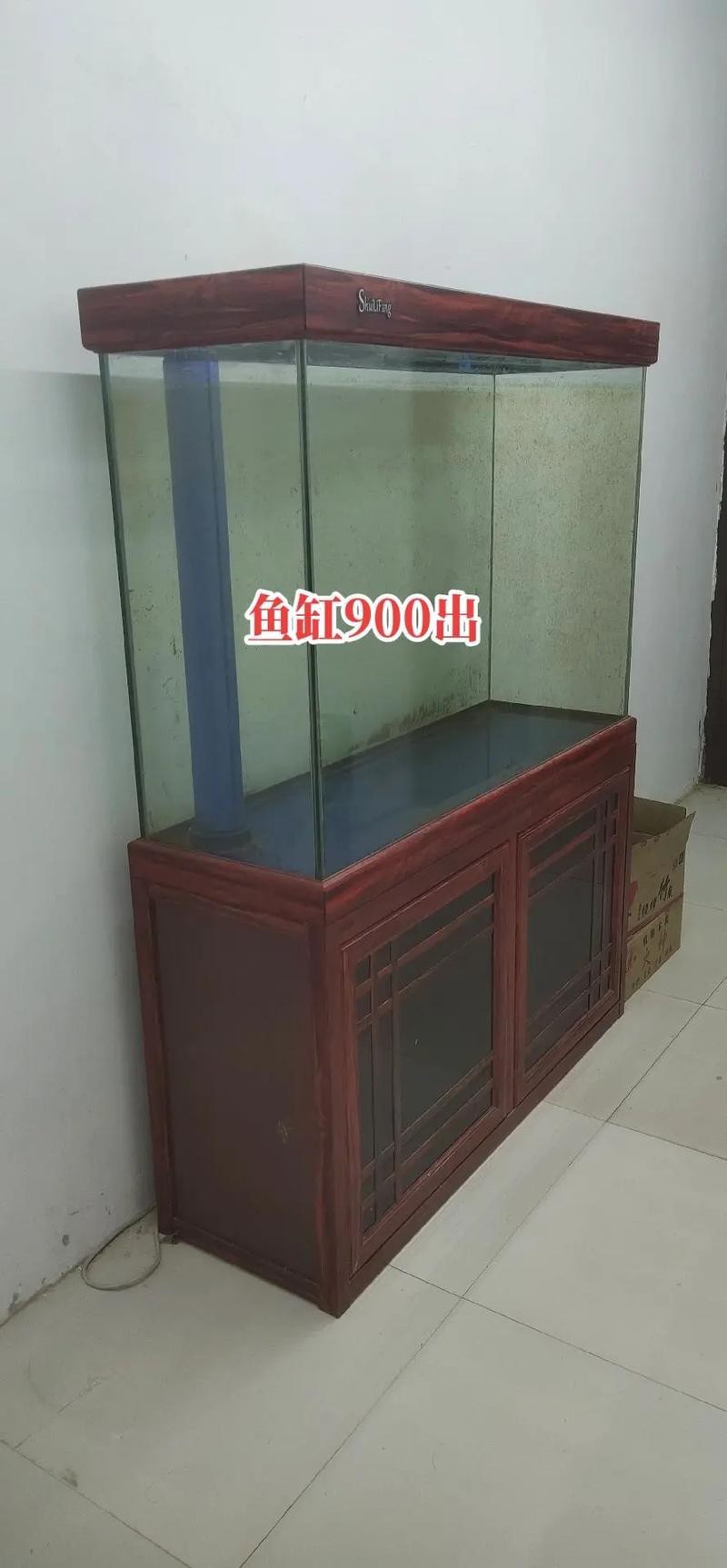 100種魚缸圖片【6種絕美魚缸造景全攻略】