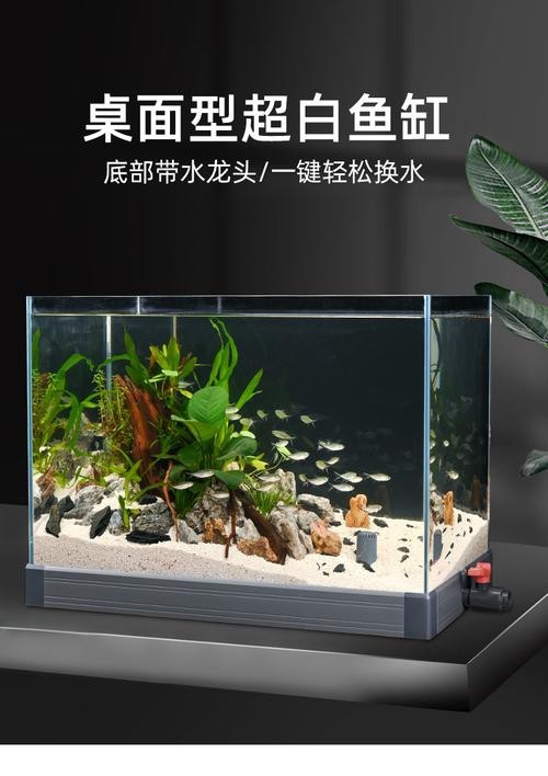 100種魚缸圖片【6種絕美魚缸造景全攻略】