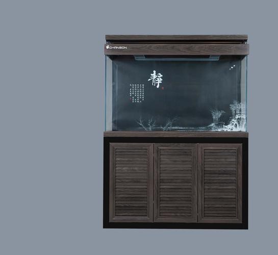 100種魚缸圖片【6種絕美魚缸造景全攻略】