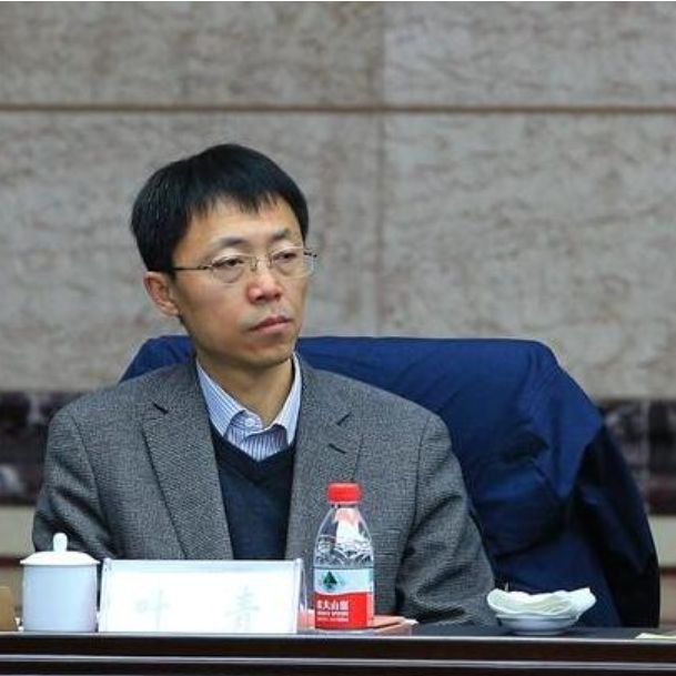 龍游縣葉青簡歷和成就【關(guān)于龍游縣涉及多位名為“葉青”的人士的公告】