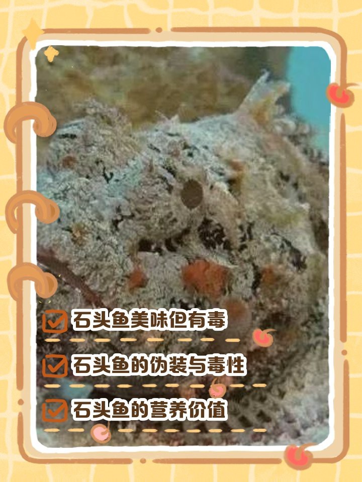 石頭魚為何要盡量少吃【關于石頭魚的一些問題】